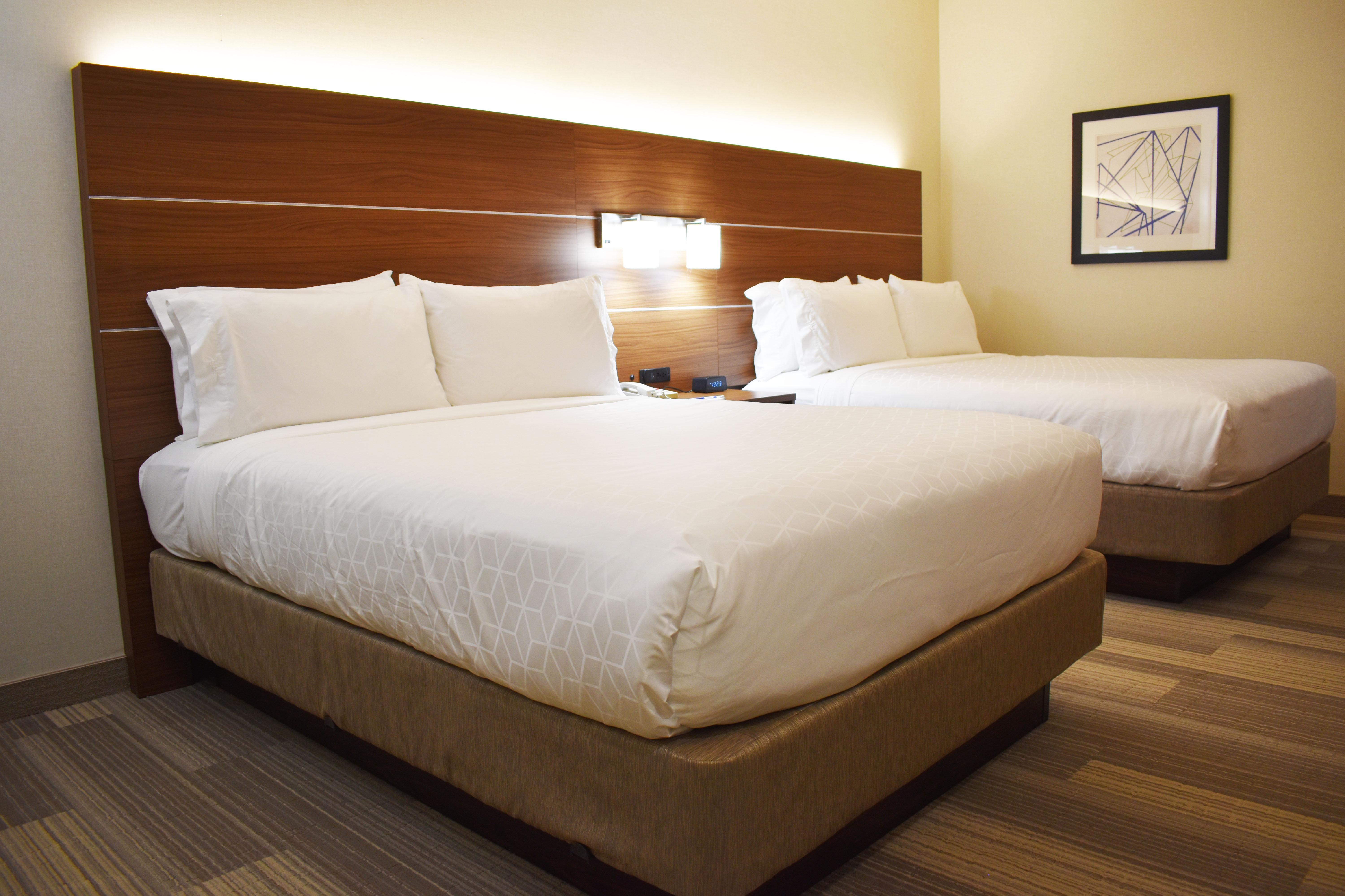 Holiday Inn Express Hotel & Suites Albany By Ihg Dış mekan fotoğraf